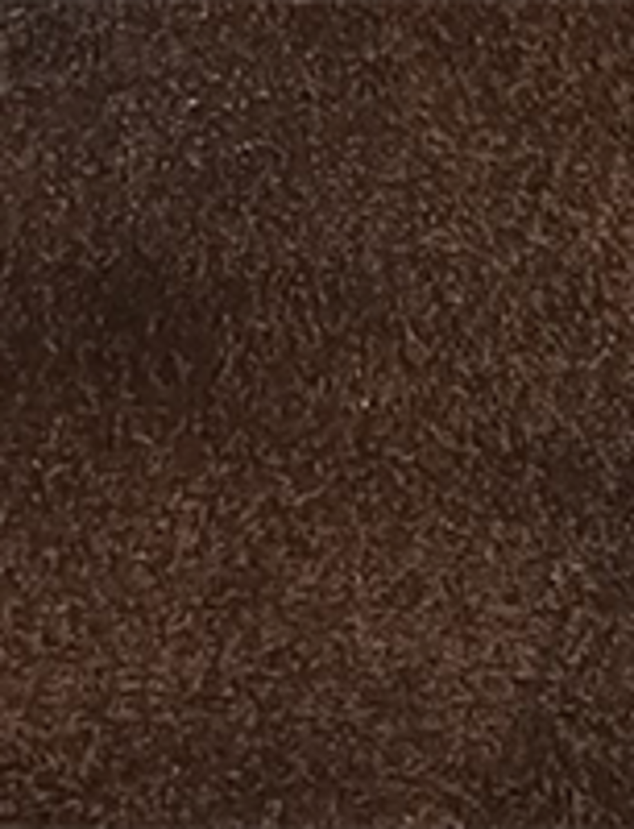 Billy Short - Chocolate - Swatch