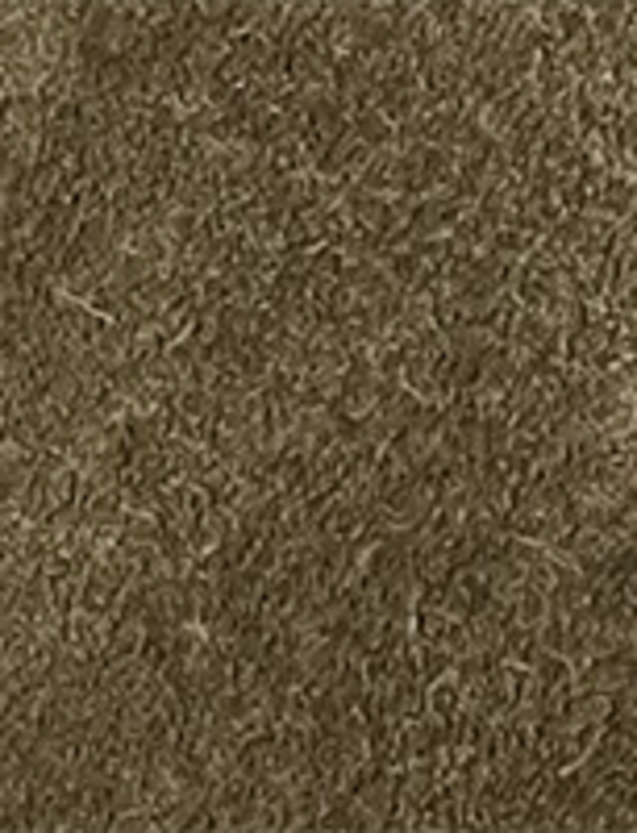 Campus 12R - Olive - Swatch