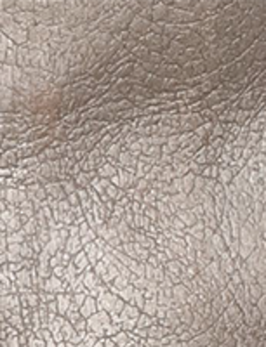 Campus 14L - Metallic Stone - Swatch