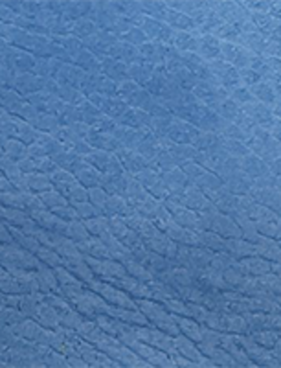 Campus 14L - Royal Blue - Swatch