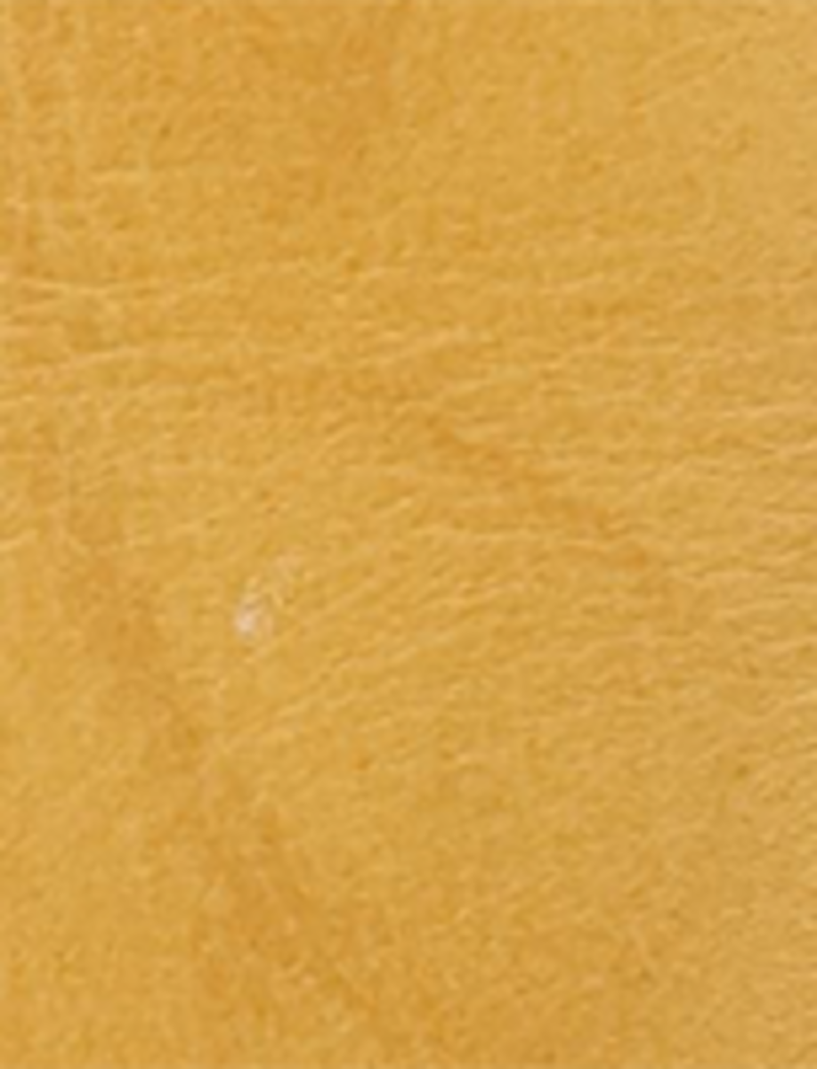 Campus 14L Wc - Banana - Swatch