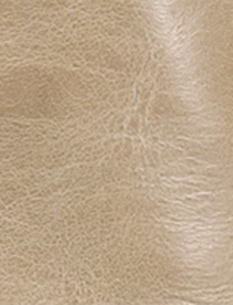 Campus 14L Wc - Eucalyptus - Swatch