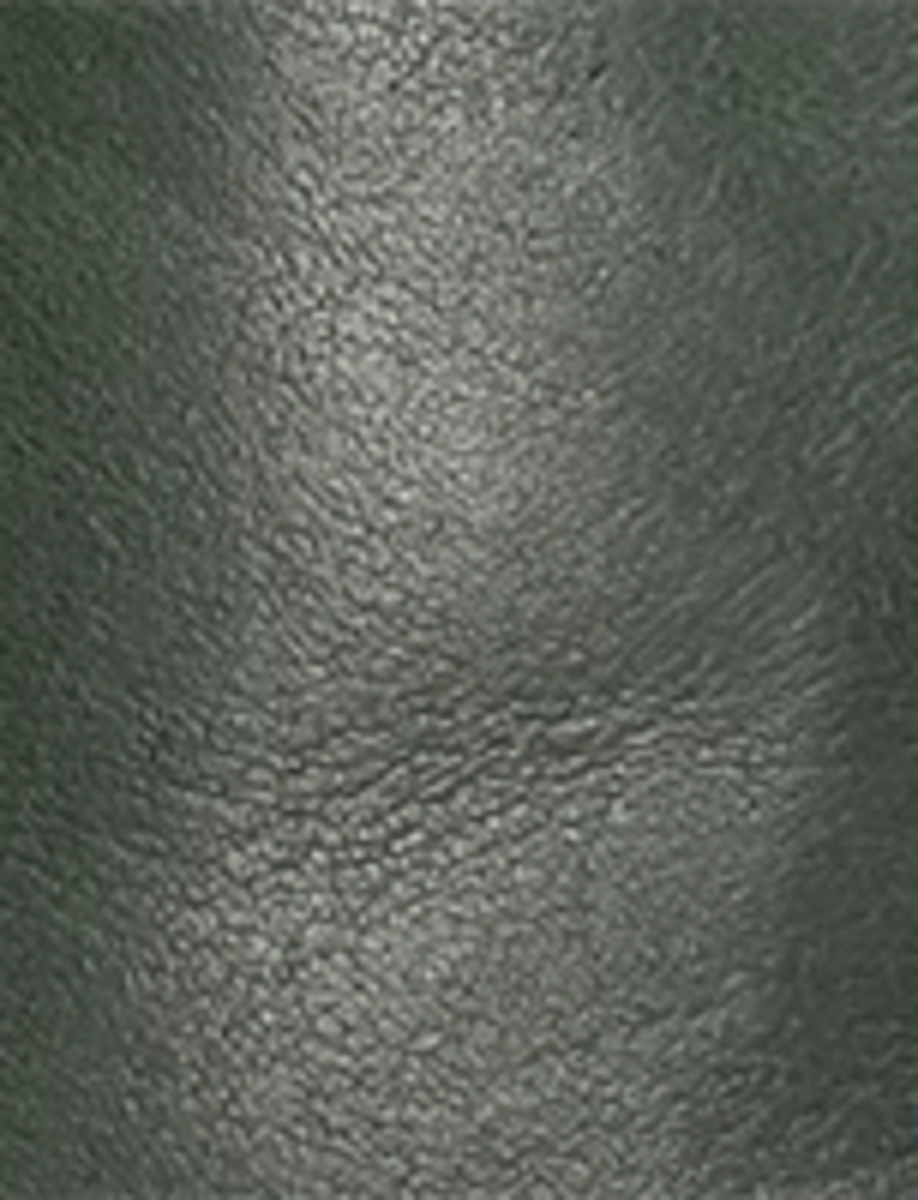 Campus 14L Wc - Forest - Swatch