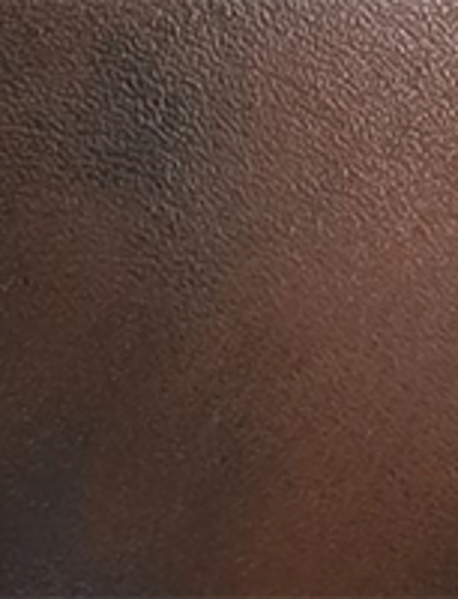 Campus Buckle - Dark Brown - Swatch