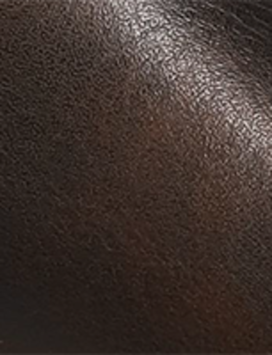 Campus Deco Stud - Dark Brown - Swatch