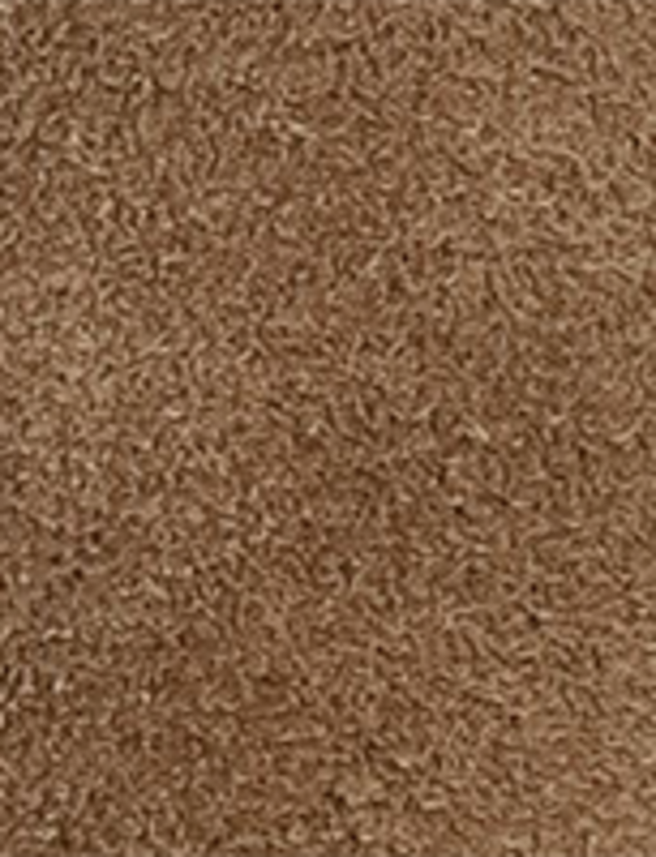 Campus Roper - Mushroom - Swatch
