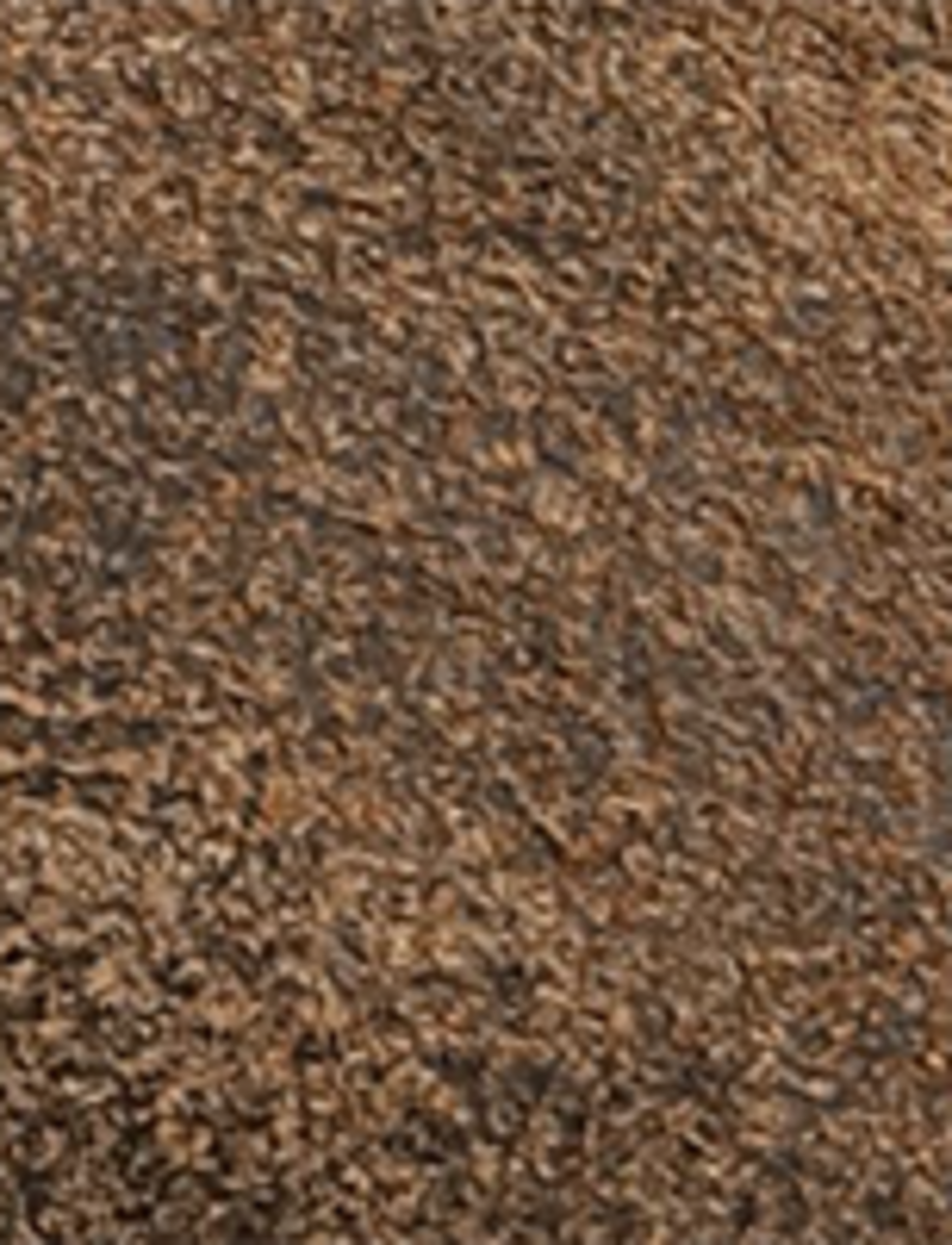 Chris Venetian - Chocolate - Swatch