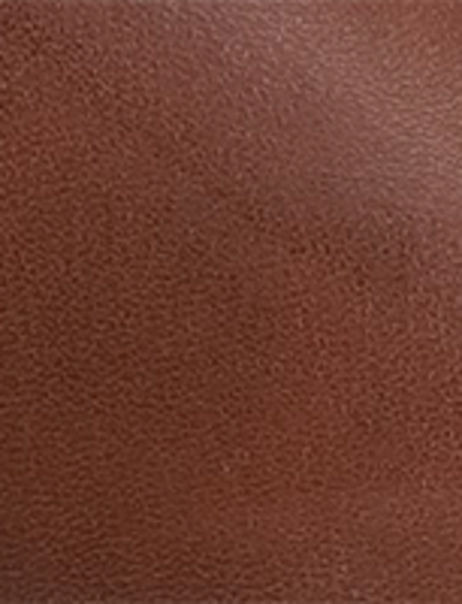 Conway Harness - Brown - Swatch