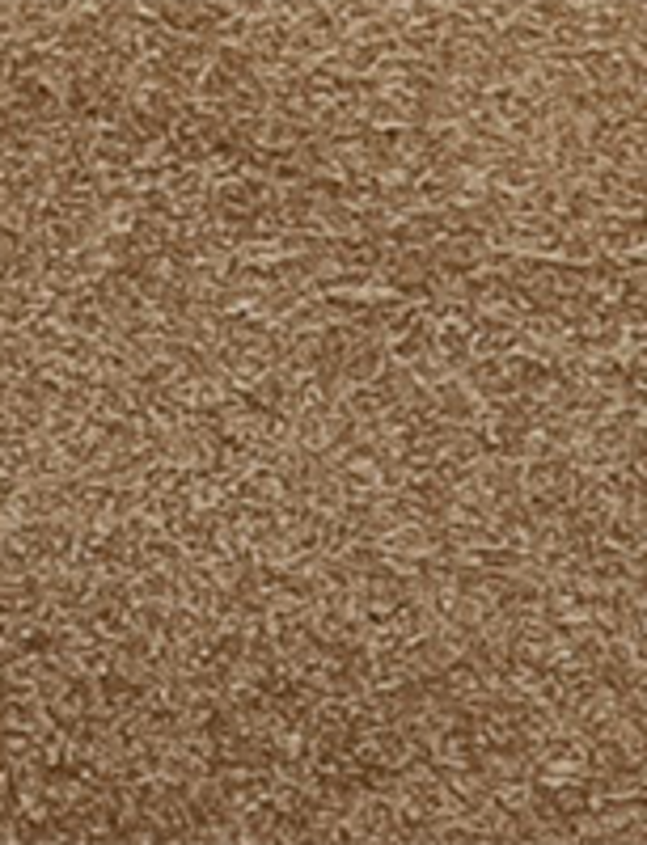 Dylan Chelsea - Mushroom - Swatch