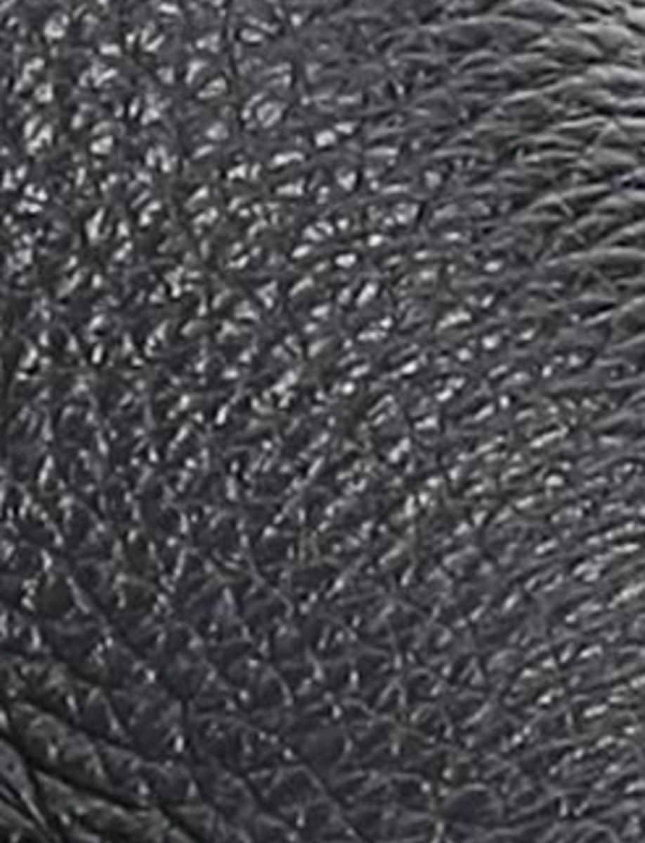 Ivy Venetian - Black - Swatch