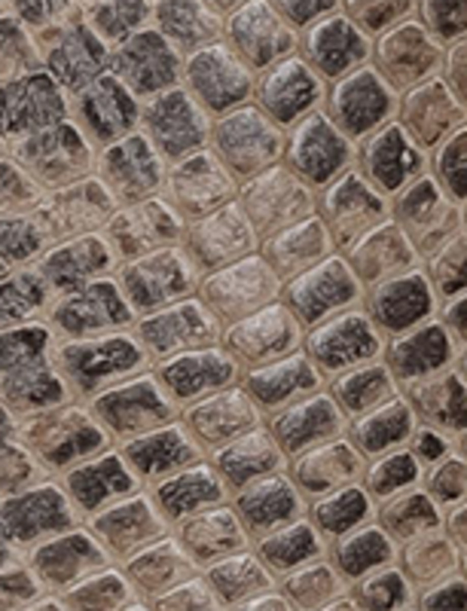 Kate Pull On - Beige Snake - Swatch