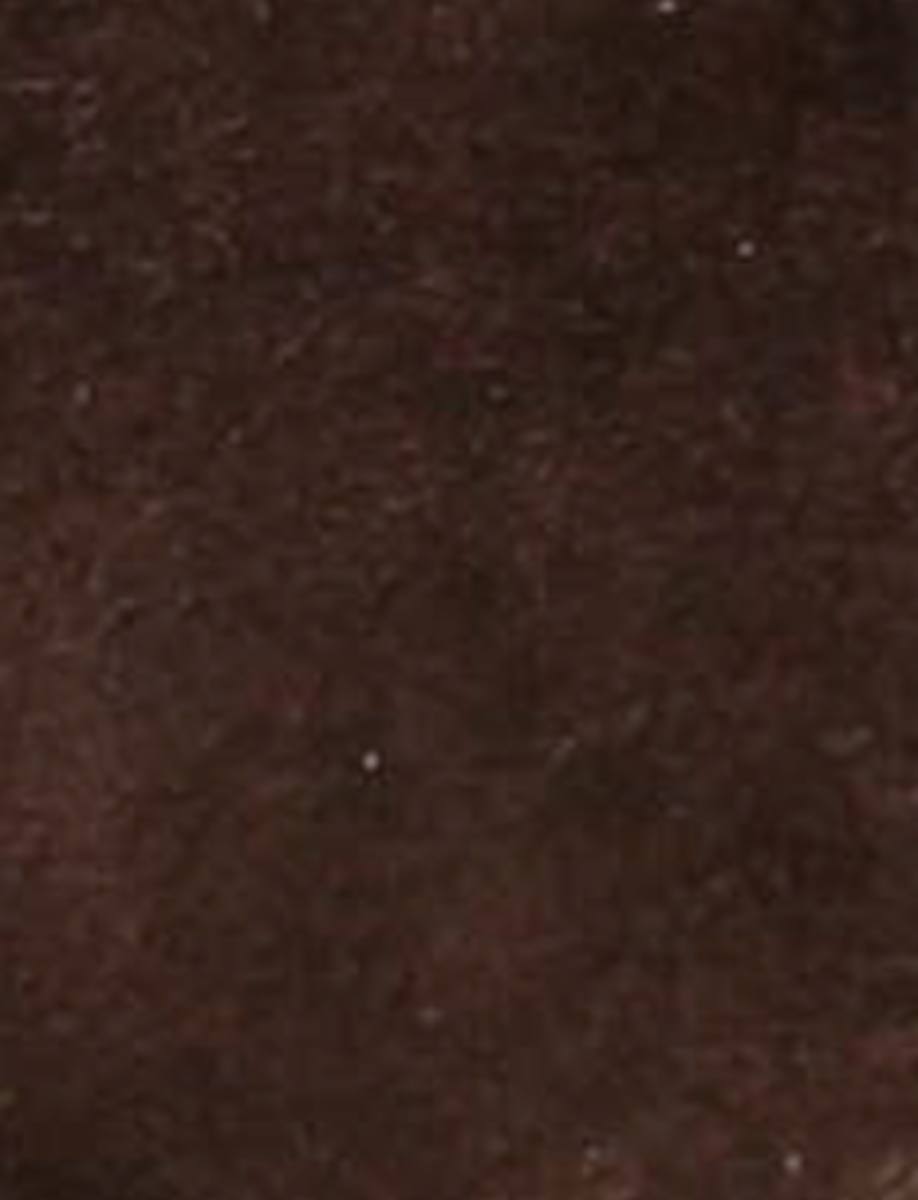 Kate Short Inside Zip - Chocolate - Swatch