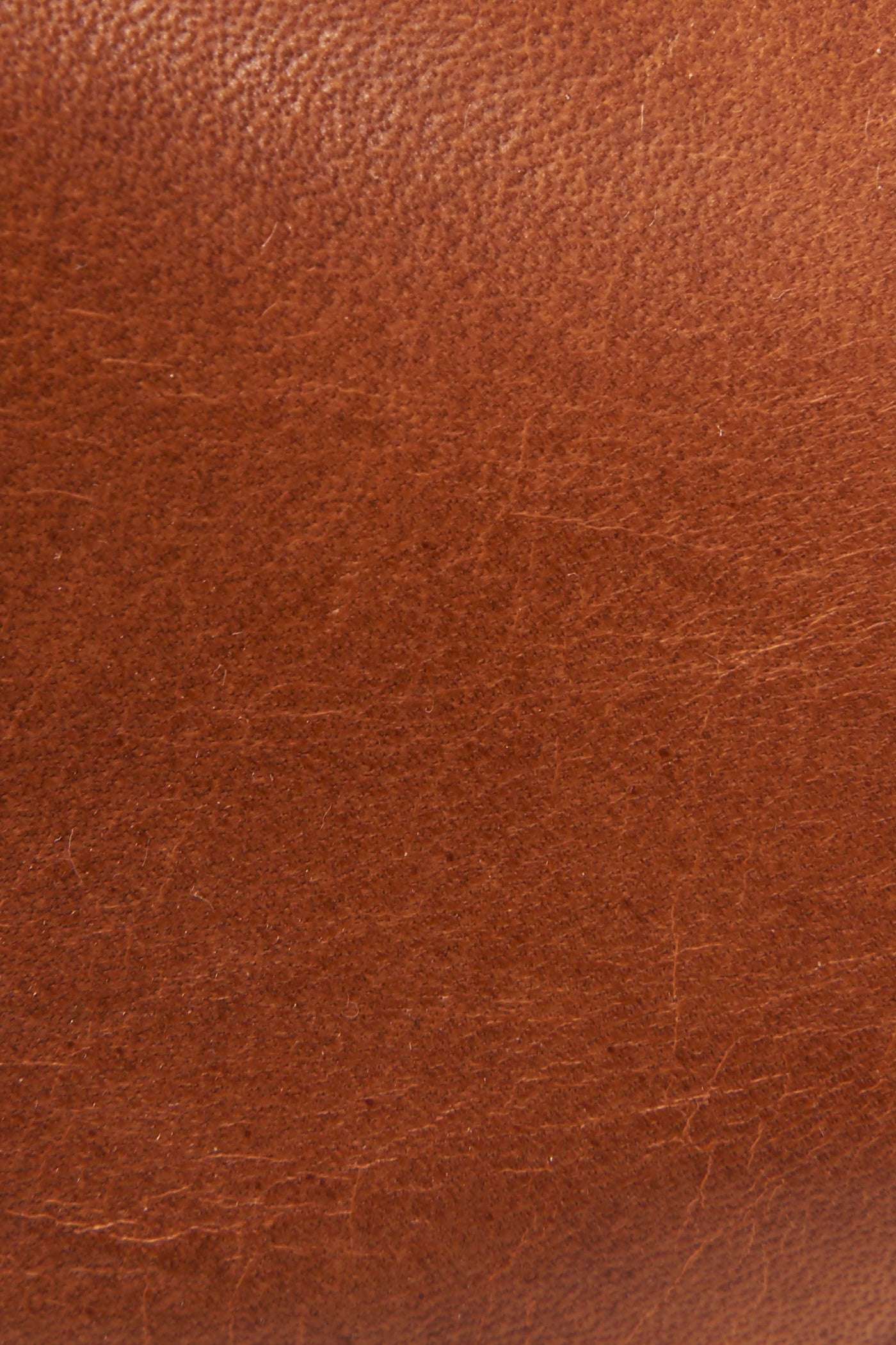 Ray Harness Back Zip - Frye Found