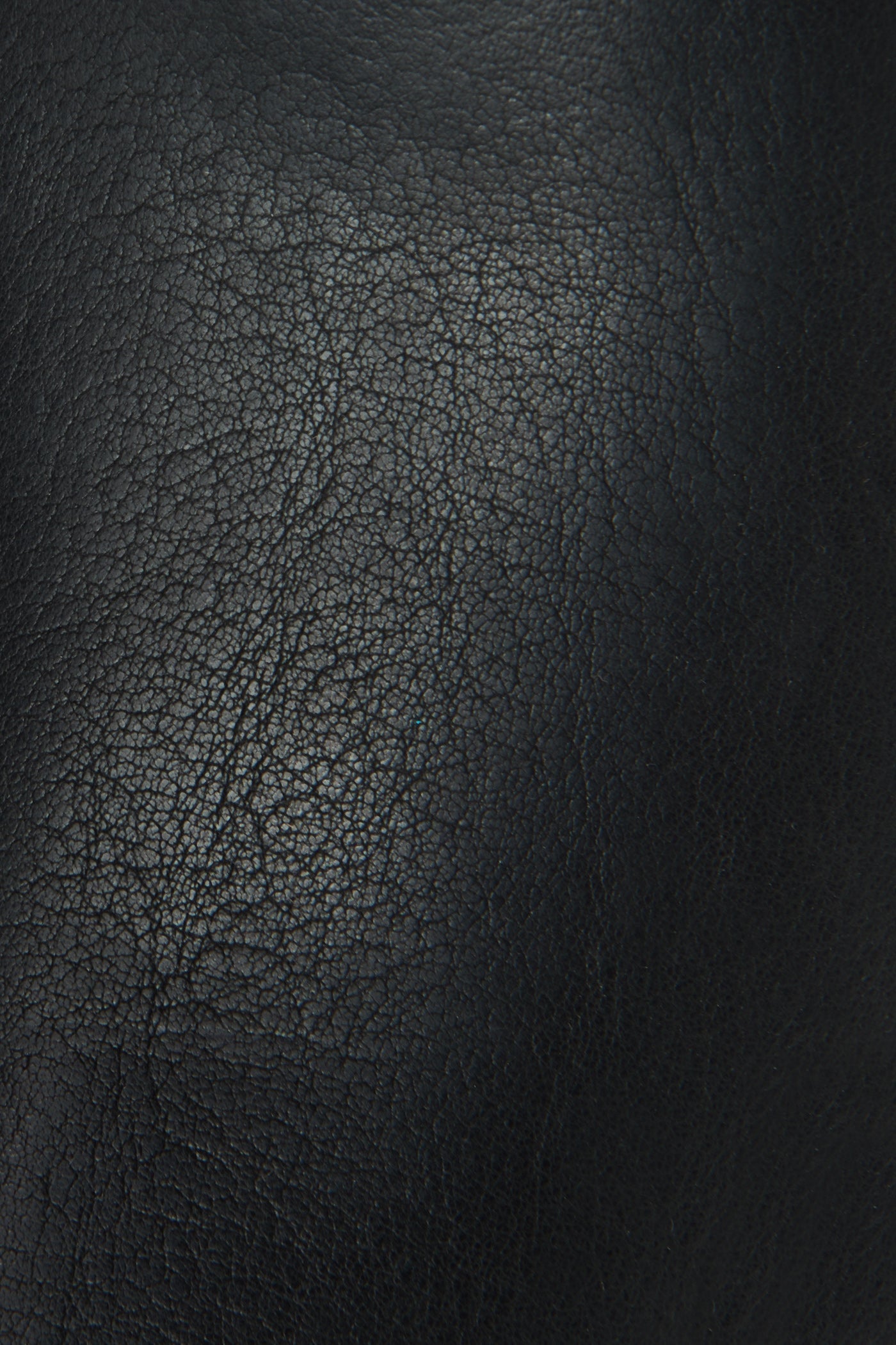 Melissa Belted Tall - Frye Found