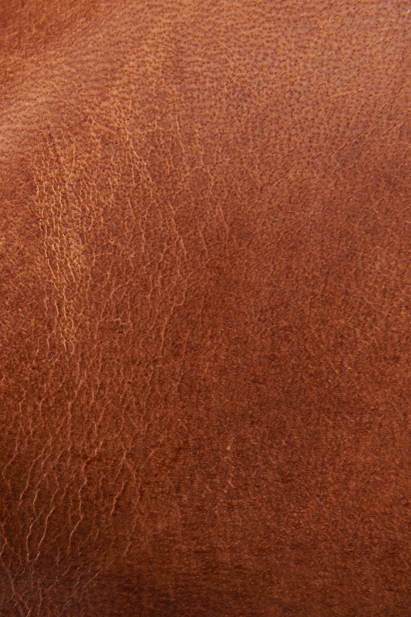 Melissa Belted Tall - Frye Found