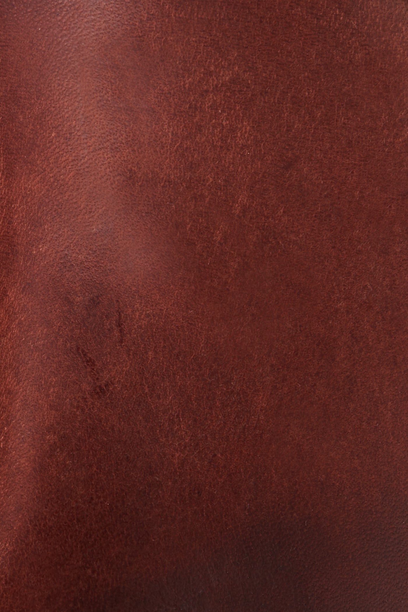 Melissa Button 2 - Frye Found