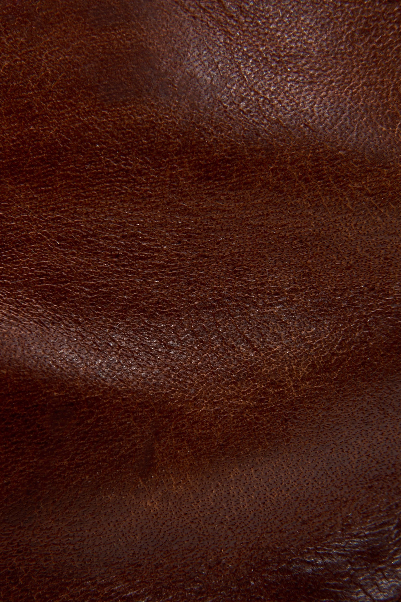 Paul Lace Up - Frye Found