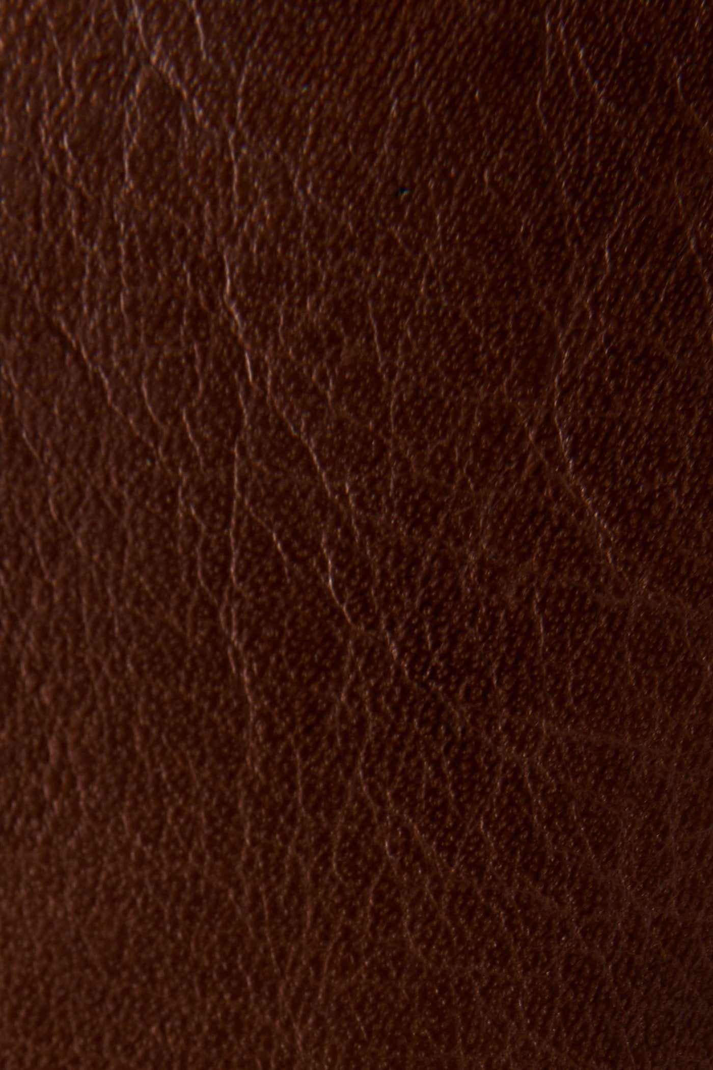 Tyler Chelsea - Pre-Loved