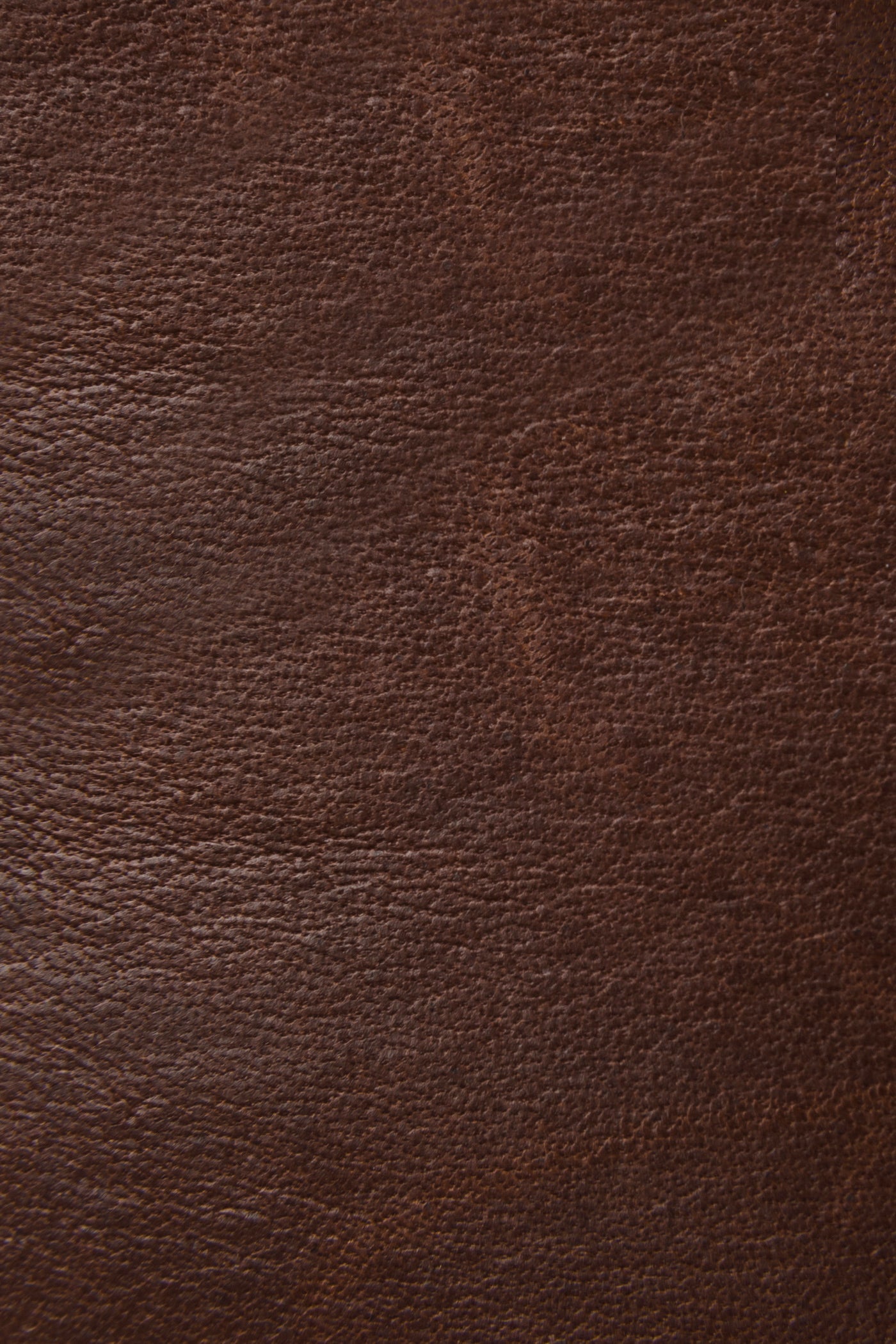 Walker Low Lace - Frye Found