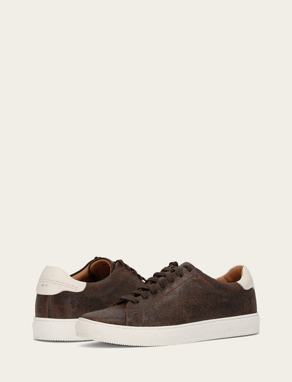 Astor Low Lace - Chocolate - Pair