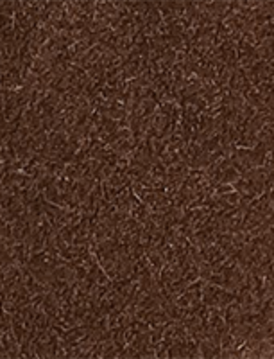 Campus 12R - Brownie - Swatch