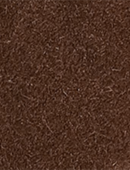 Campus 12R - Brownie - Swatch