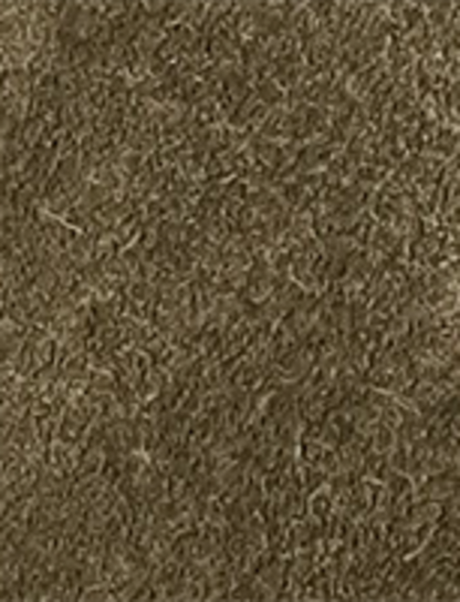 Campus 12R - Olive - Swatch