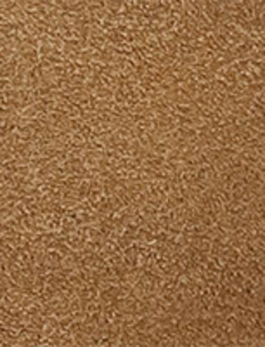 Campus 12R - Tan Buck - Swatch
