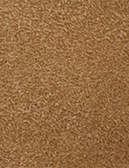 Campus 12R - Tan Buck - Swatch