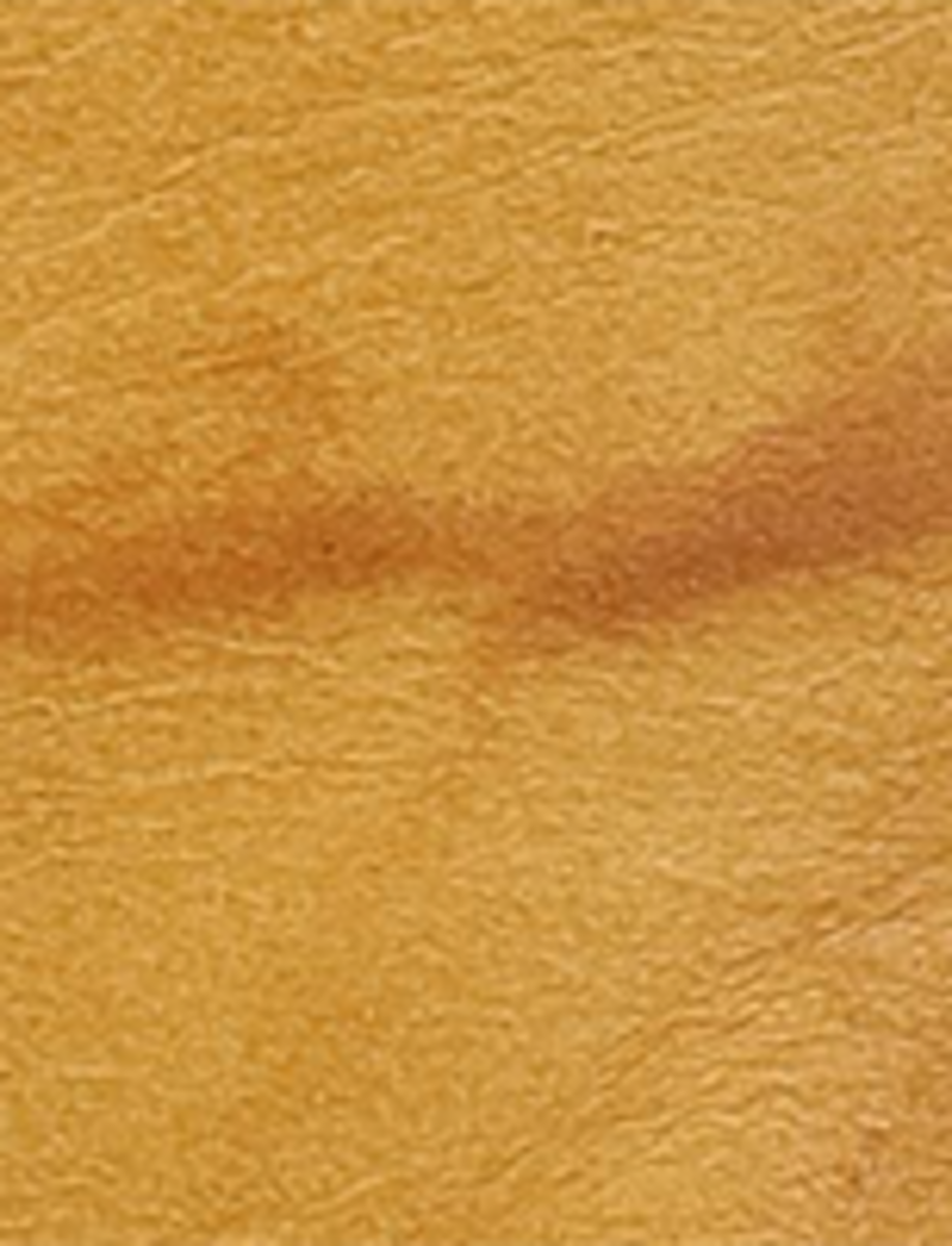 Campus 14L - Banana - Swatch