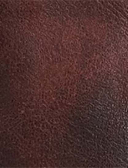 Campus 14L - Cherry Lacquer - Swatch