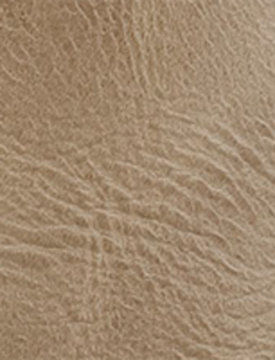 Campus 14L - Eucalyptus - Swatch