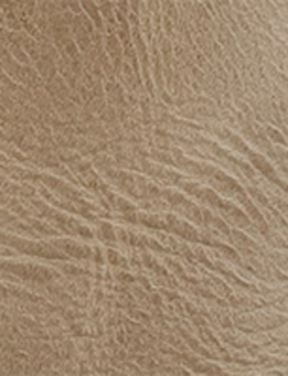 Campus 14L - Eucalyptus - Swatch
