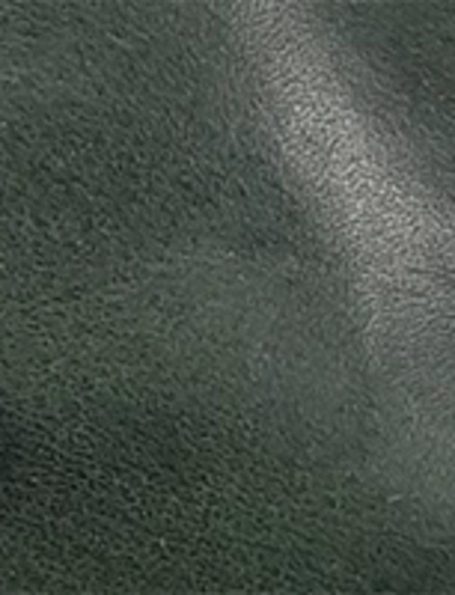 Campus 14L - Forest - Swatch