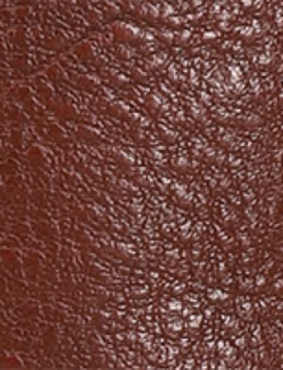 Campus 14L - Garnet - Swatch