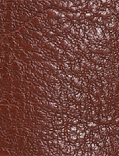 Campus 14L - Garnet - Swatch