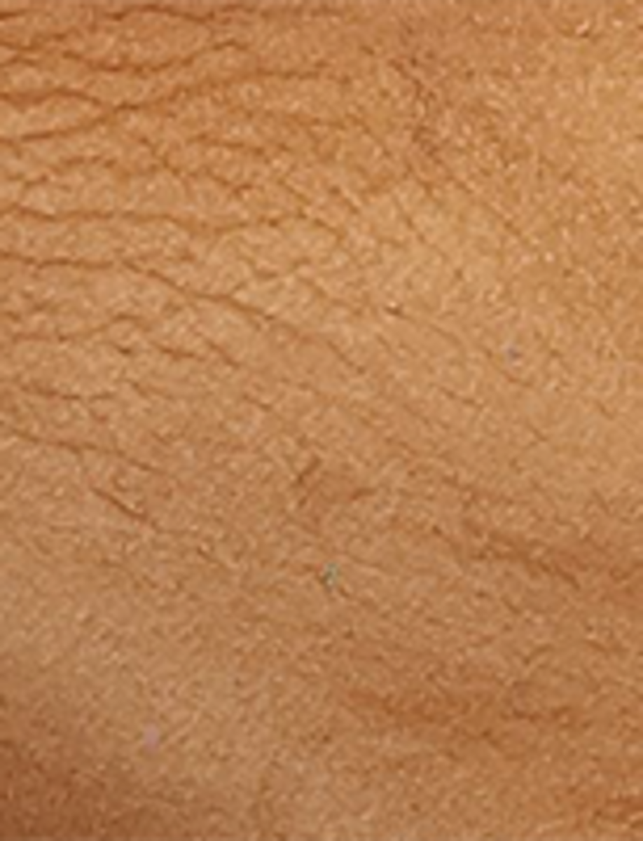 Campus 14L - Light Brown - Swatch