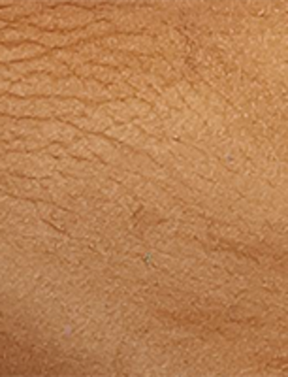 Campus 14L - Light Brown - Swatch