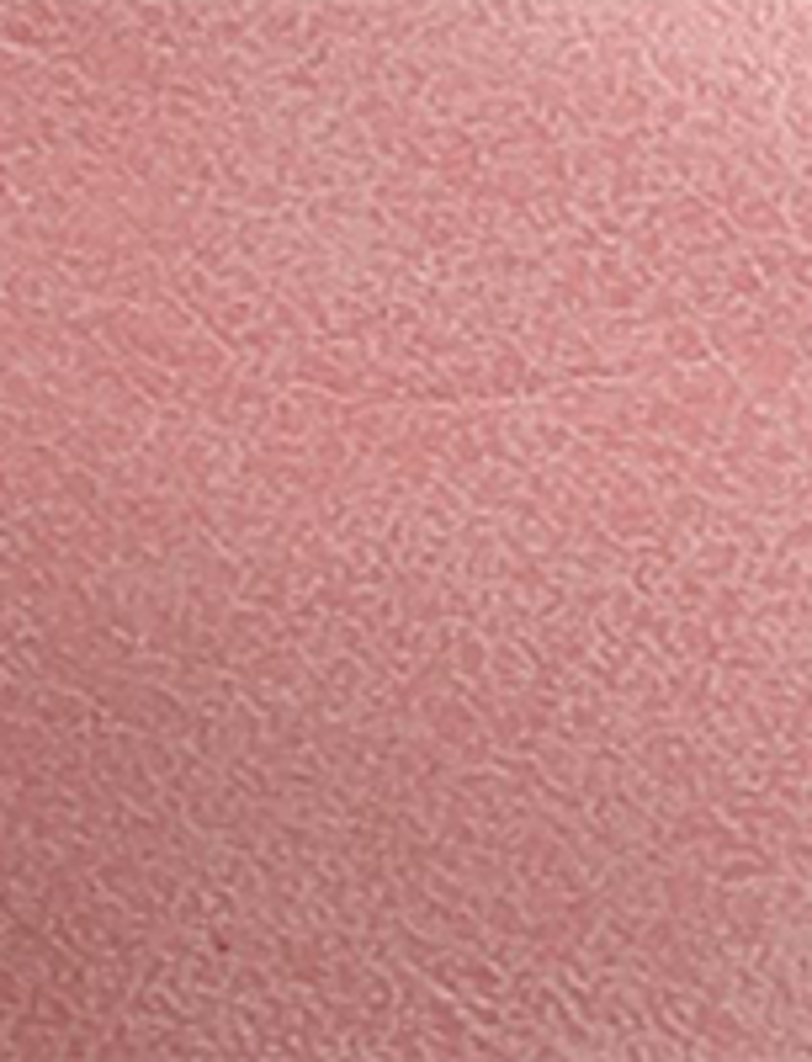 Campus 14L - Pink - Swatch