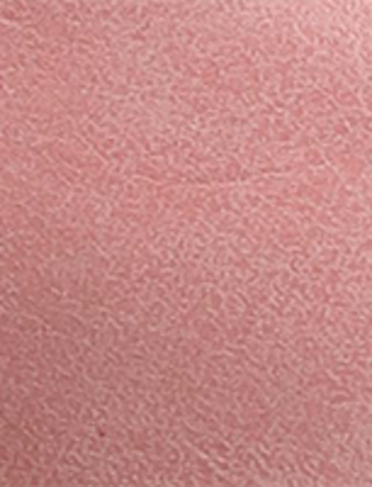 Campus 14L - Pink - Swatch