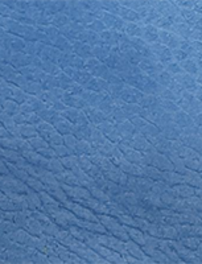 Campus 14L - Royal Blue - Swatch