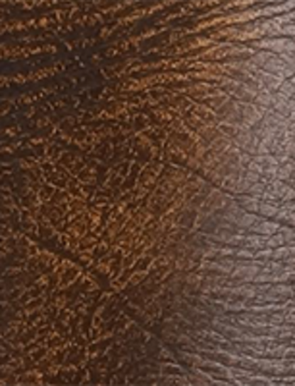 Campus 14L - Sepia - Swatch