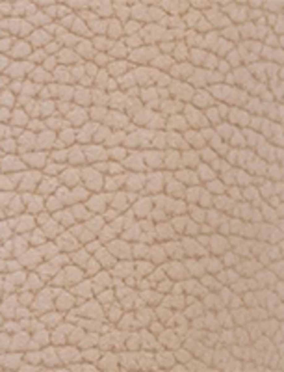 Campus 14L - Stone - Swatch