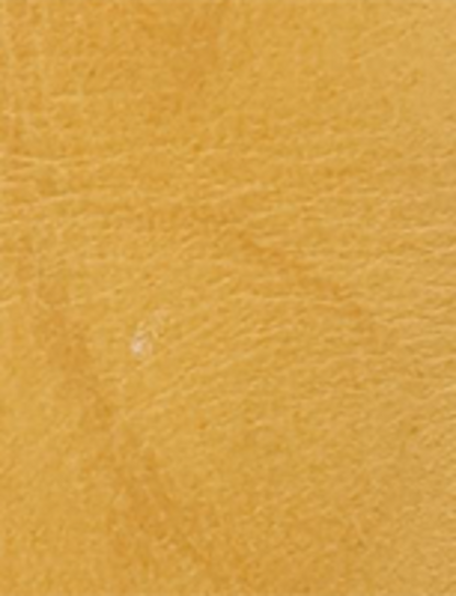 Campus 14L Wc - Banana - Swatch