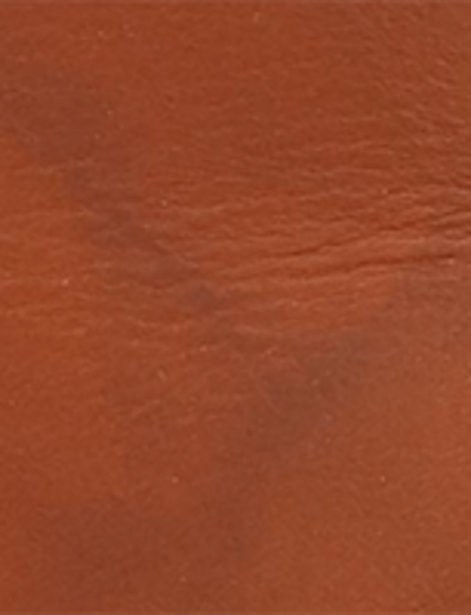 Campus 14L Wc - Saddle - Swatch