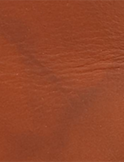 Campus 14L Wc - Saddle - Swatch