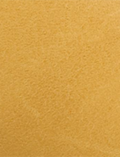 Campus Inside Zip - Banana - Swatch