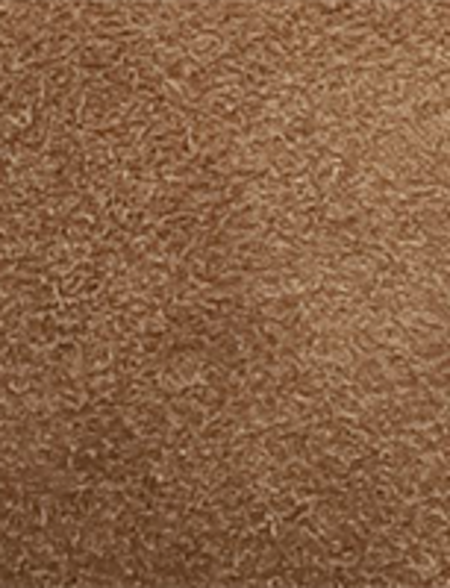 Campus Inside Zip - Mushroom - Swatch