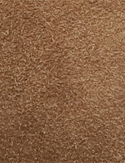Campus Inside Zip - Mushroom - Swatch