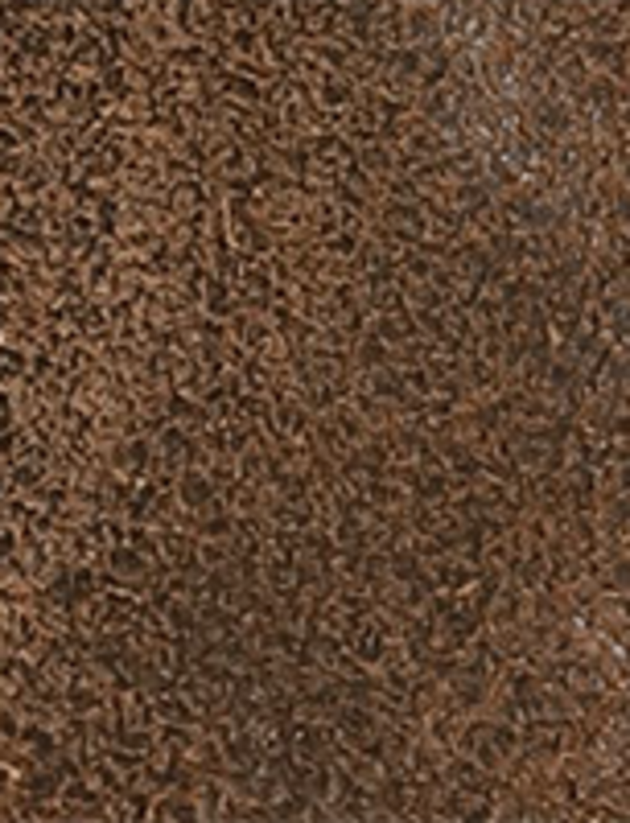 Campus Roper - Chocolate - Swatch